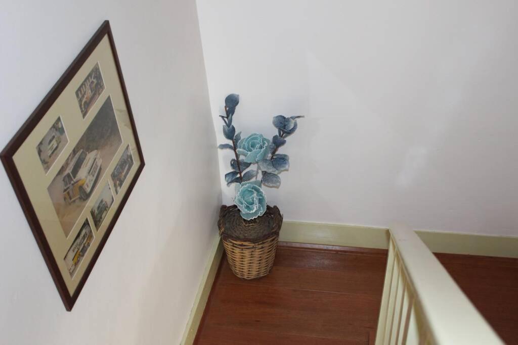 Вілла Casa Do Pelourinho Coja Екстер'єр фото